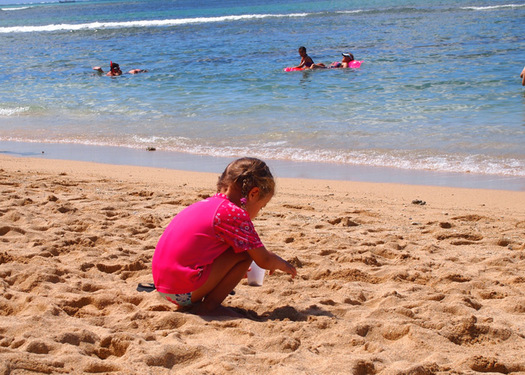 summer vacation in hawaii part1