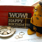 ☆NEW☆BIRTHDAY PRESENT