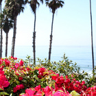 California TRIP 2