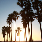 California TRIP