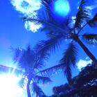 ☆ HAWAII TRIP part.1☆