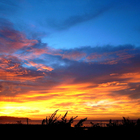 Morning Glow.......