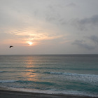 新島TRIP
