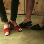 TOMS