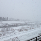 SNOW!!!