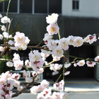 2011.3.11