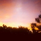 夕日。