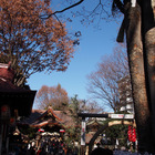 2014年スタート