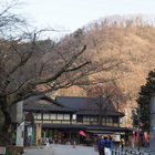 高尾山