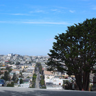 SF 2